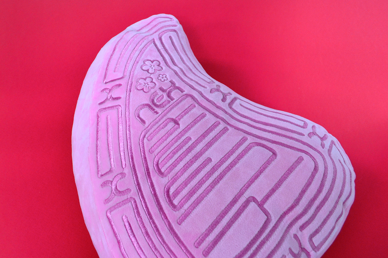 Nex Png Kueh, Close Up